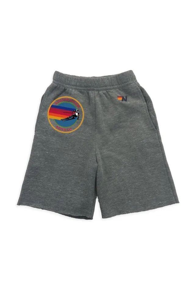 Aspen Sweatshorts 8211 Heather Grey Kids Aviator Nation Shorts