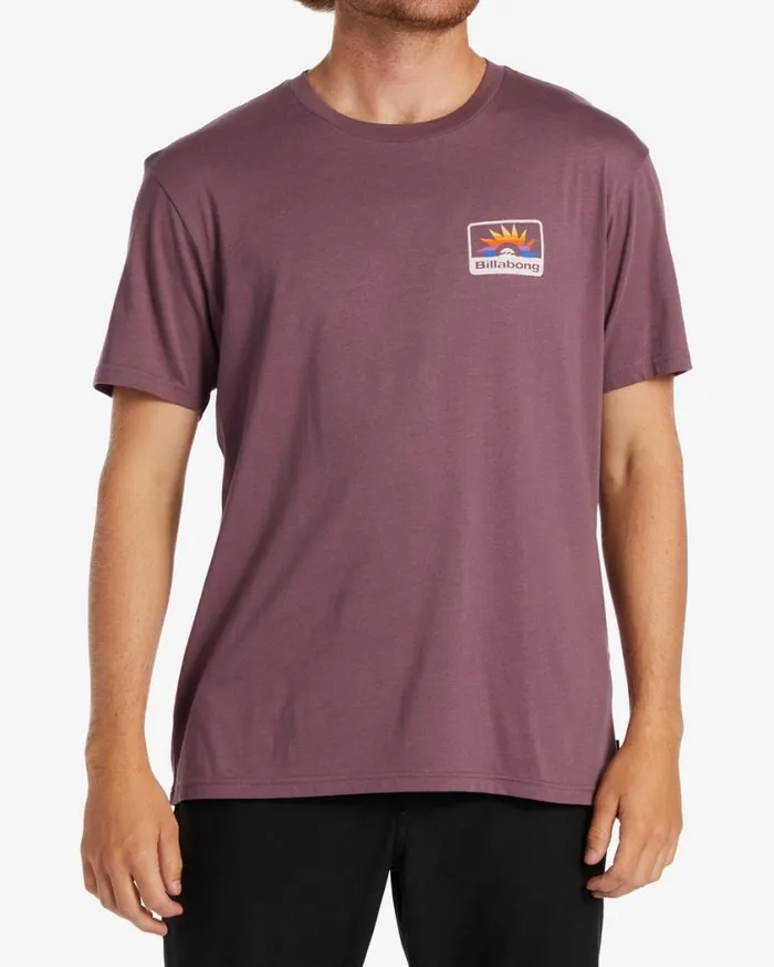 Billabong Walled TShirt Vintage Violet Mens TShirts