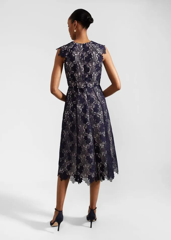Dresses and Jumpsuits Women HOBBS Hannah Lace Dress Navy Pale Pink