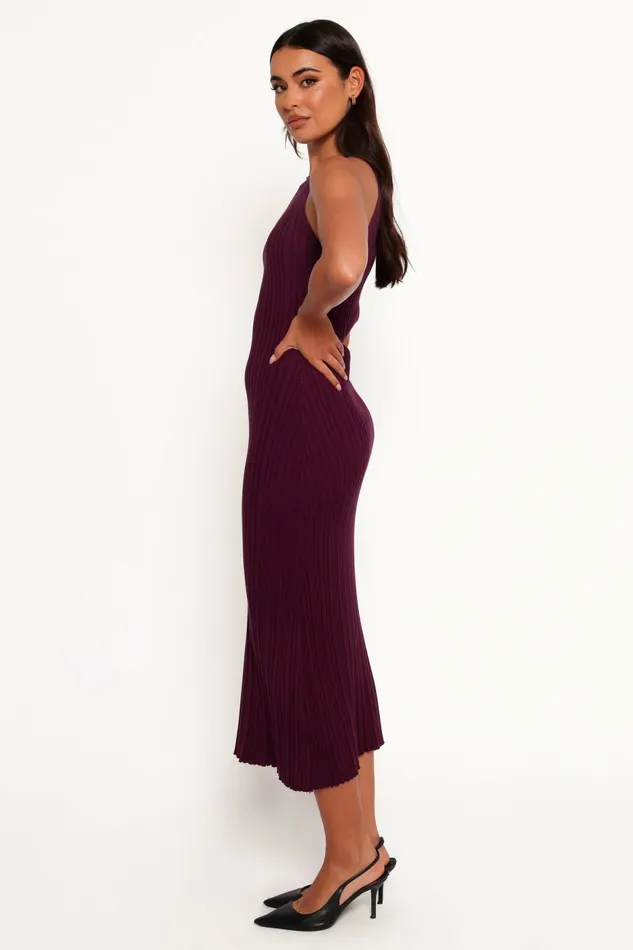 Fall Dresses Brighton Maxi Dress Plum Petal and Pup Women