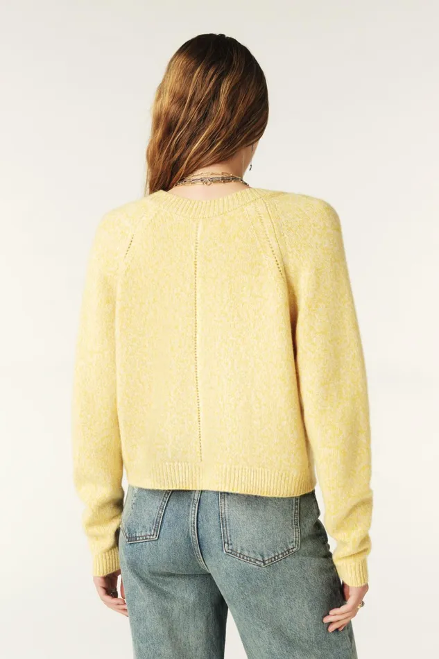 LongSleeved Cardigan Carila Yellow Women Baandsh Sweaters and Cardigans