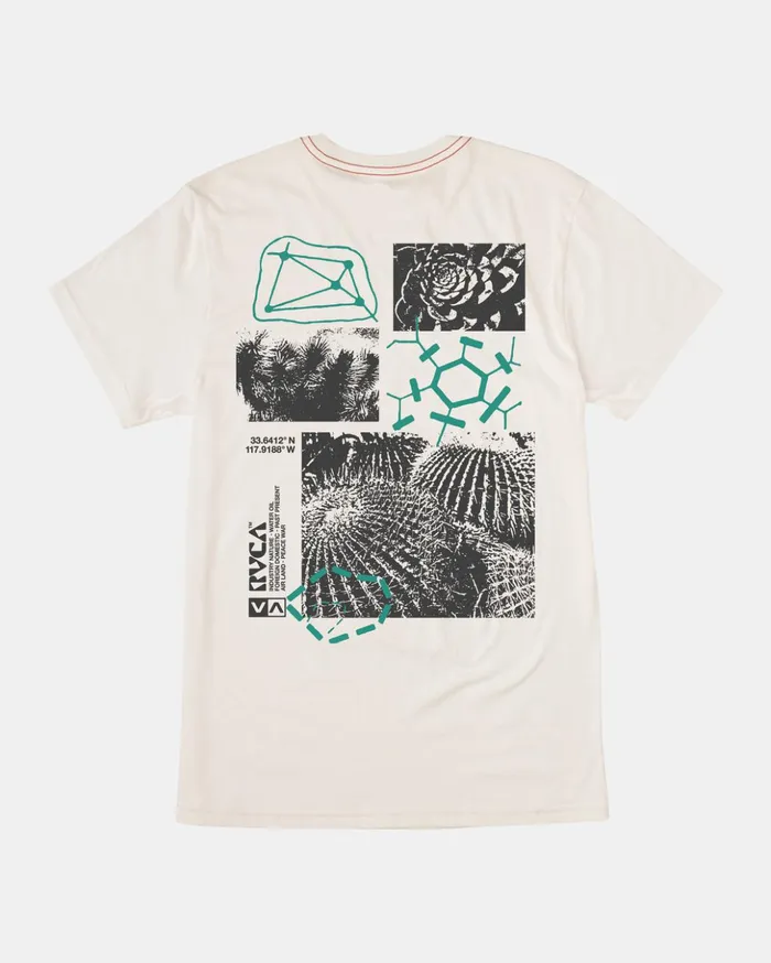 RVCA Short Sleeves Ethnobotony Tee Antique White 8211 Men