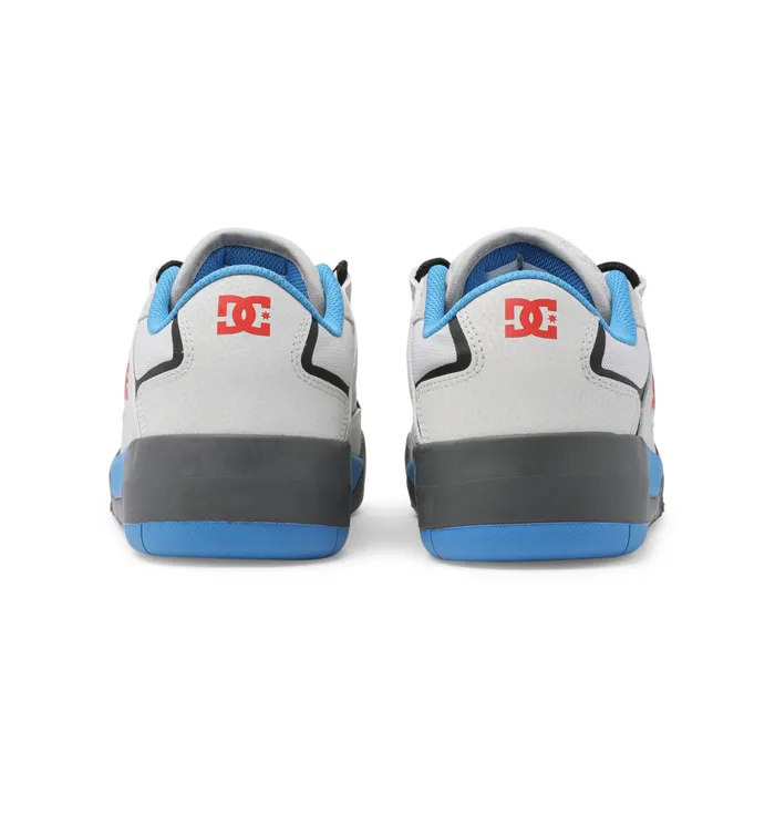 Sneakers Men DC Shoes DC Metric Shoes bluewhite