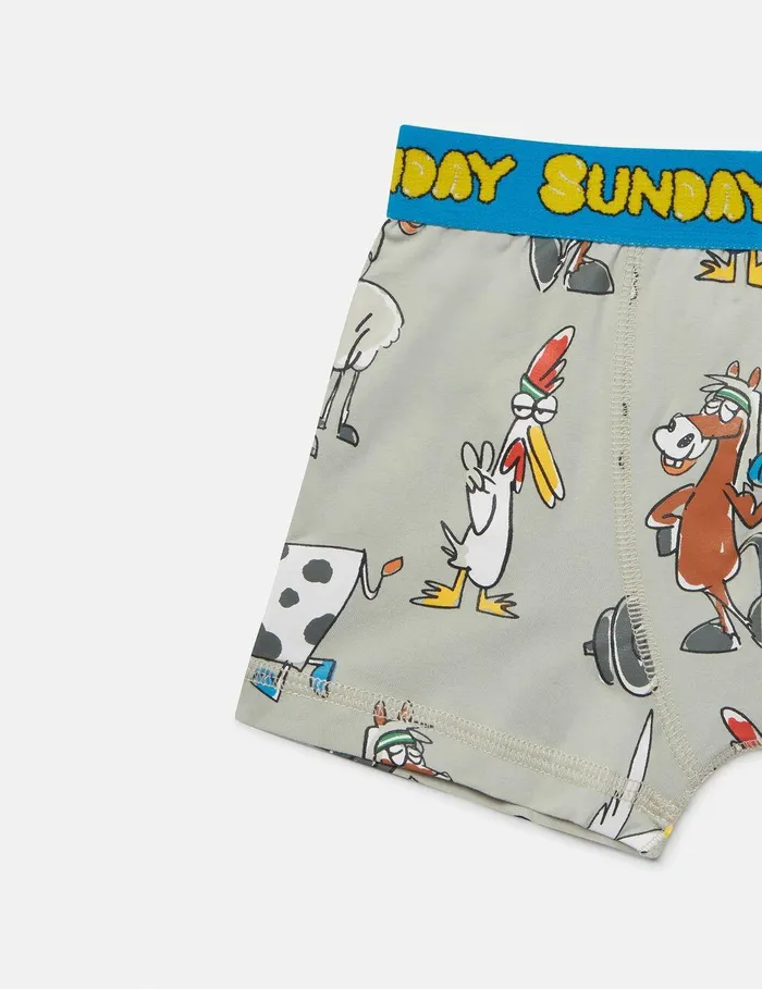 Stella McCartney Shoes And Accessories Kids 7 Pack Of Farmyard Printed Boxers Multicolour Stella McCartney Shoes And Accessories Kids 7 Pack Of Farmyard Printed Boxers Multicolour