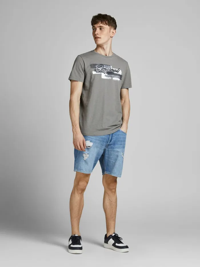 Tshirts JACK and JONES Mens BRUSH STROKE LOGO PRINT TSHIRT Grey Sedona Sage Gift 4 You