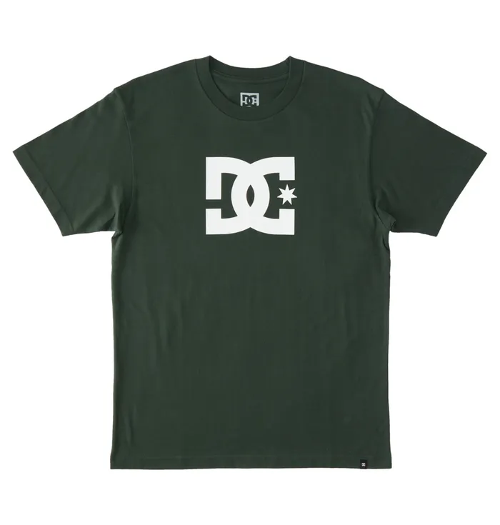 TShirts Men DC Shoes DC Star TShirt sycamore