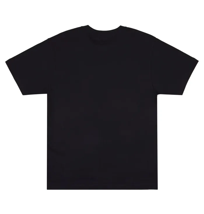 TShirts Shanahan Ring TShirt black 8211 DC Shoes Men
