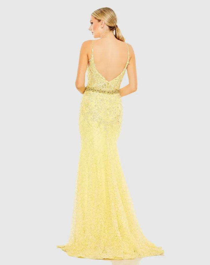 Women Evening Gowns Mac Duggal Applique Sleeveless Plunge Neck Trumpet Gown Lemon