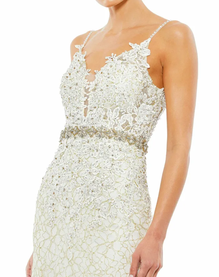 Women Evening Gowns Mac Duggal Applique Sleeveless Plunge Neck Trumpet Gown Lemon