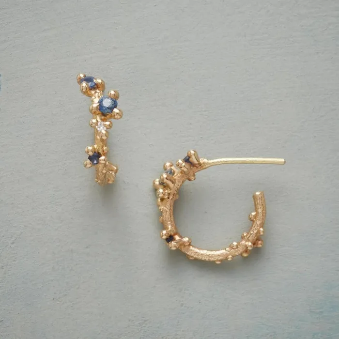 Women Symphonia Hoop Earrings Sundance Catalog Earrings
