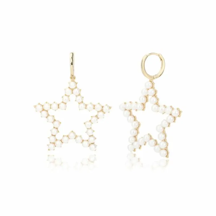 Women Vintage Havana Earrings LUNA EARRING