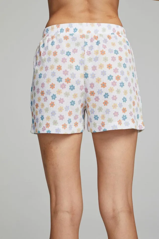 Womens Chaser Brand Bottoms Venice Daisy Ollie Boxer Shorts