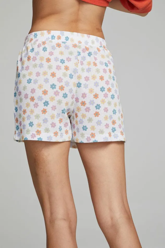 Womens Chaser Brand Bottoms Venice Daisy Ollie Boxer Shorts