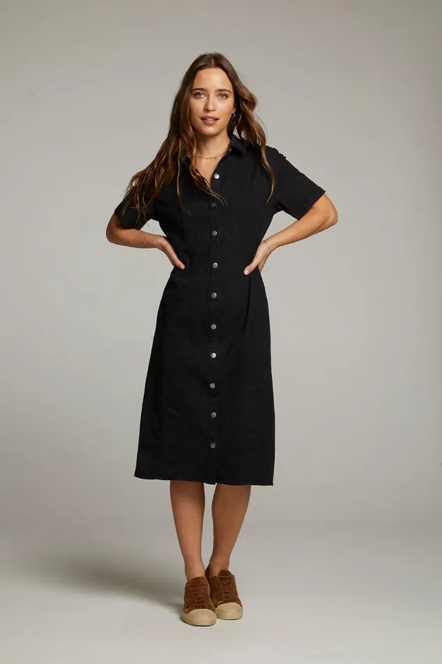 Womens Chaser Brand Dresses Rachelle Licorice Dress